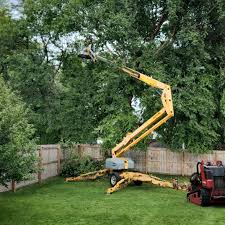Lawn Pest Prevention in Bellevue, PA
